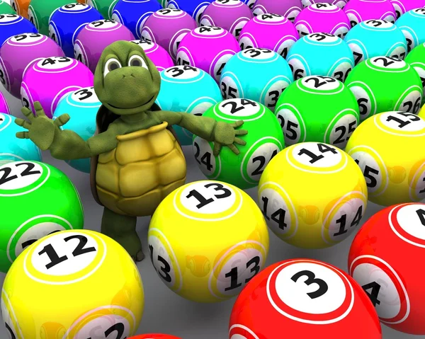 Tartaruga con palline da bingo — Foto Stock
