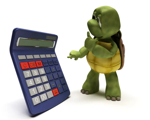 Tortoise with a calculator — Stock Photo, Image