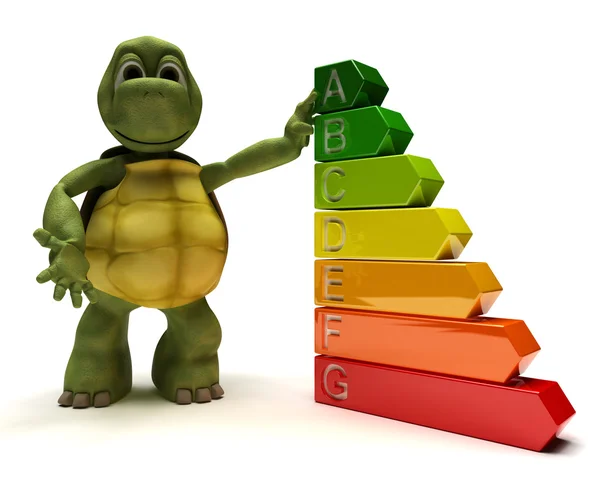 Черепаха з енергетичними рейтингами — стокове фото