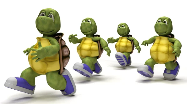 Tortoises running in sneakers — Stock Photo, Image
