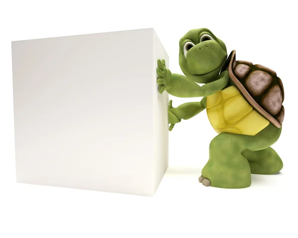Tortoise with a blank white sign — Stock Photo, Image