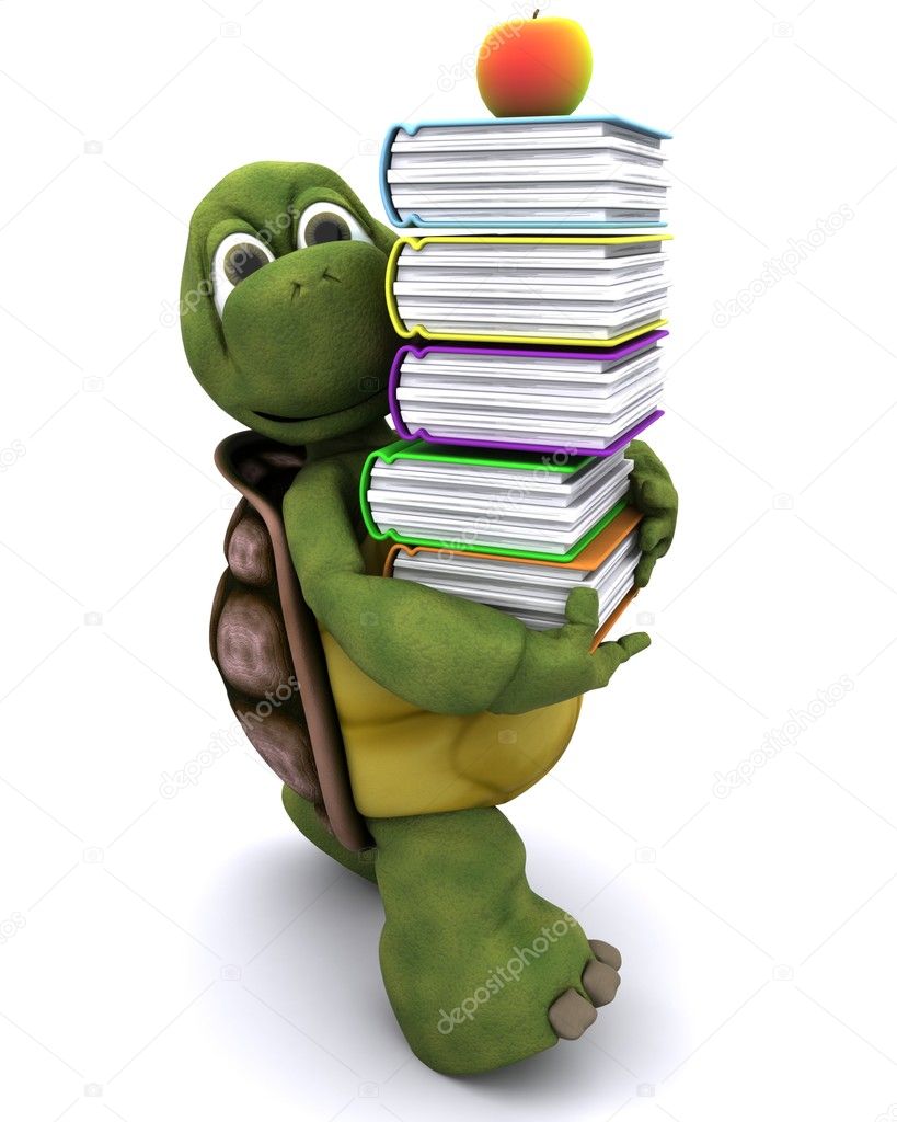 Tortoise with school book and apple