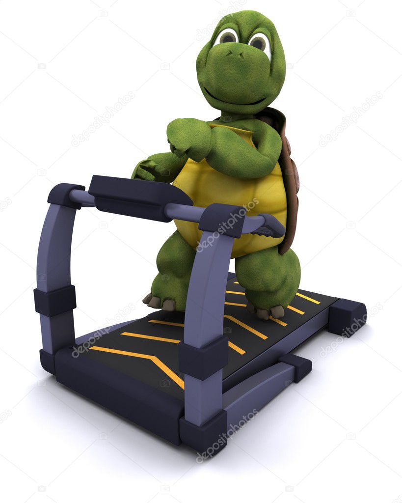 Tortoise running on a treadmill