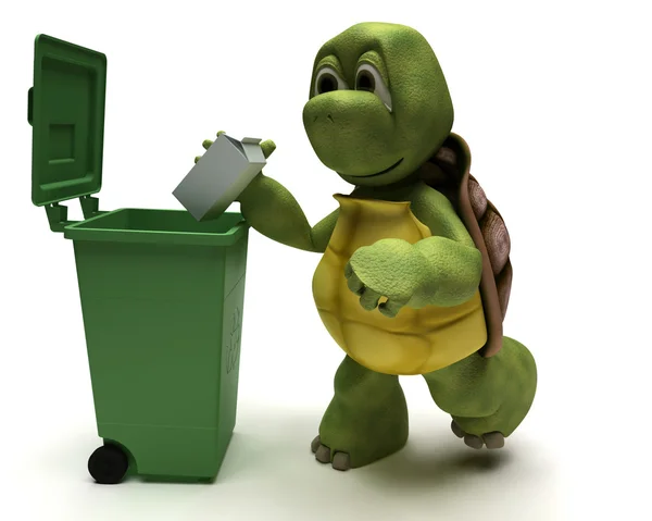 Schildpad met een vuilnisbak — Stockfoto