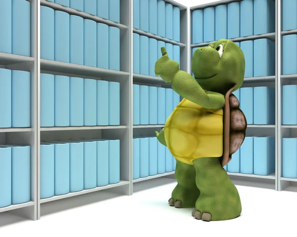 Schildpad met boeken in bibliotheek — Stockfoto