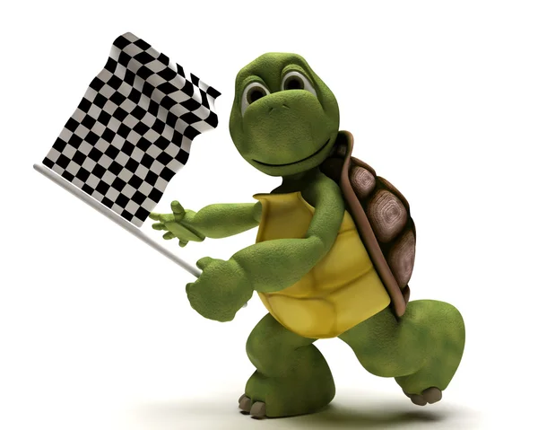 Tortoise with a chequered flag — Stock Photo, Image