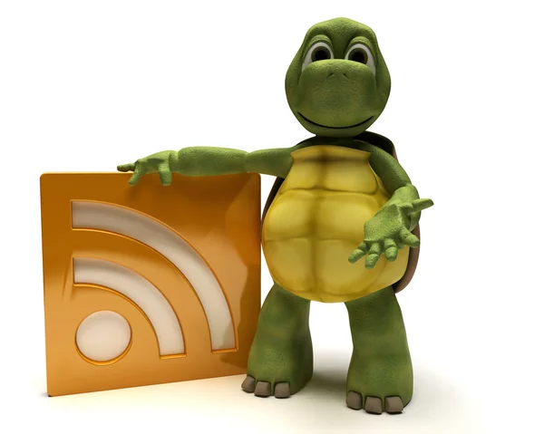 Tortoise with an rss symbol — Stock Photo, Image