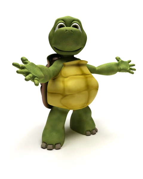 Schildpad in een inleiding pose — Stockfoto