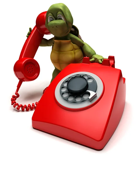 Tartaruga con un telefono — Foto Stock
