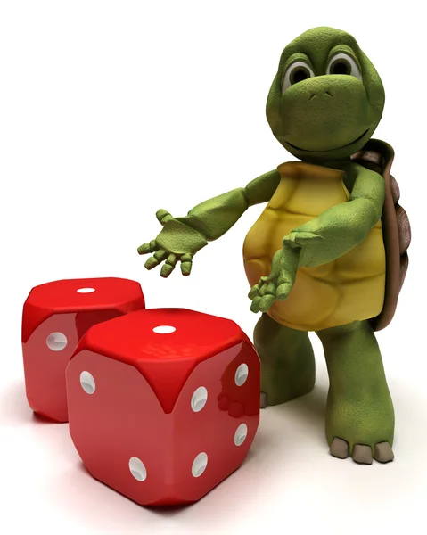 Tortoise with dice — Stock Photo, Image