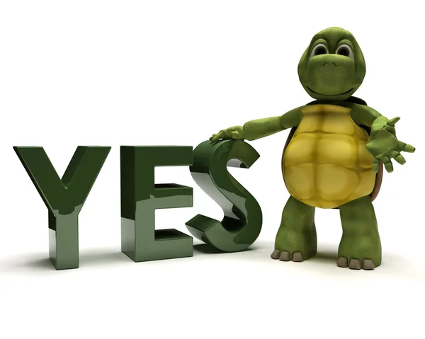 Tortoise with a yes sign — Stock Photo, Image