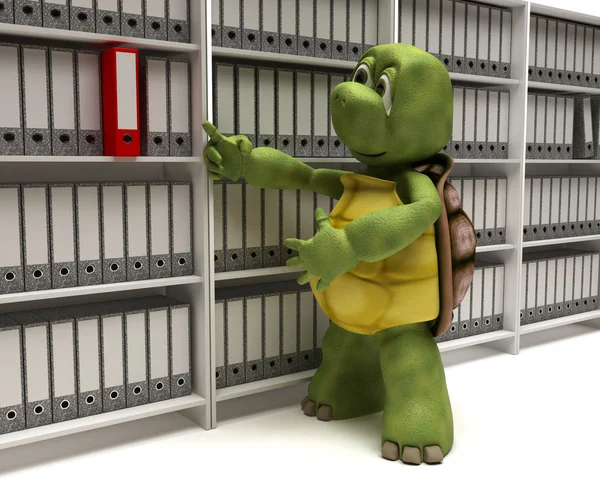 Documentos de depósito de tartaruga — Fotografia de Stock