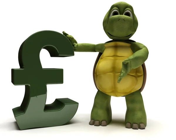 乌龟与英镑符号 — 图库照片