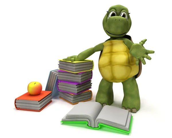 Tortoise reading a book — Stock Photo, Image