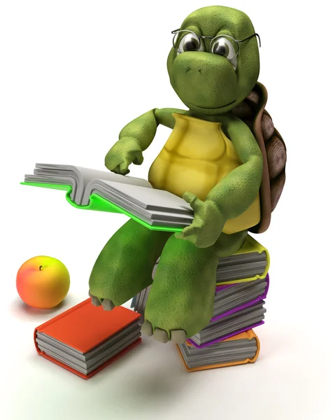 读一本书的乌龟 — 图库照片