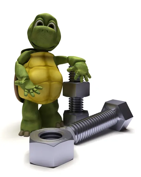 Tortoise with a nut and bolt — Stock Photo, Image