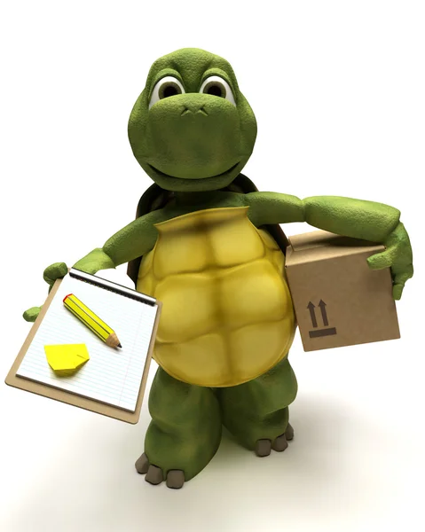 Tortoise delivering a parcel — Stock Photo, Image