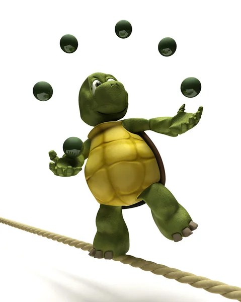 在上紧的绳子上玩杂耍的乌龟 — 图库照片