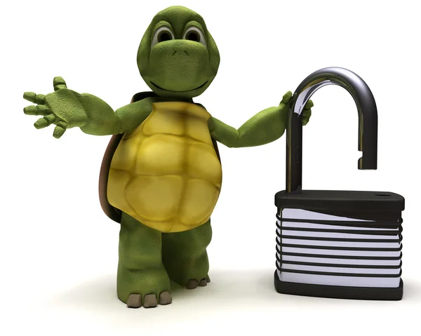 Tortoise with padlock — Stock Photo, Image
