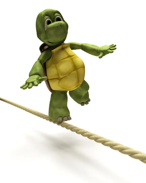 Equilibratura delle tartarughe su una corda stretta — Foto Stock