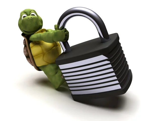 Черепаха с замком — стоковое фото