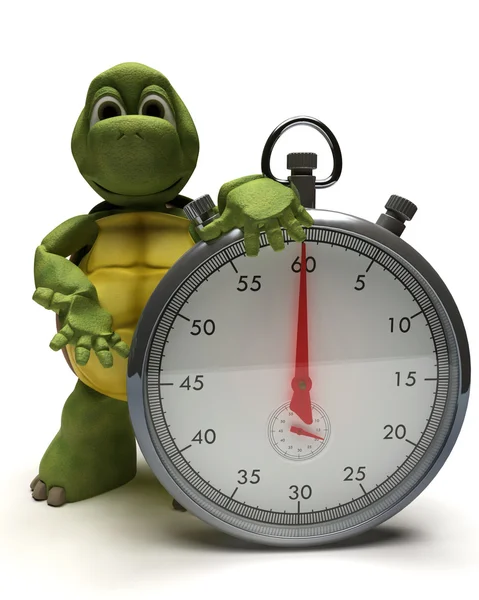 乌龟与传统镀铬秒表 — 图库照片