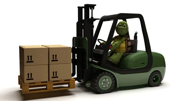포크 리프트 트럭을 운전 하는 거북이 — 스톡 사진