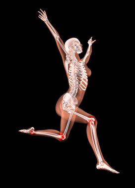 Jumping female medical skeleton clipart