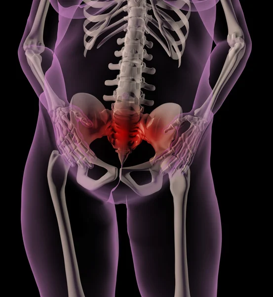 Esqueleto médico feminino com dor de estômago — Fotografia de Stock