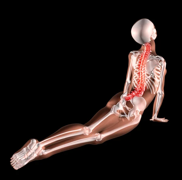Жіночий скелет, що розтягується назад — стокове фото