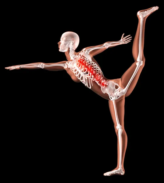 Vrouwelijke skelet in yoga positie — Stockfoto