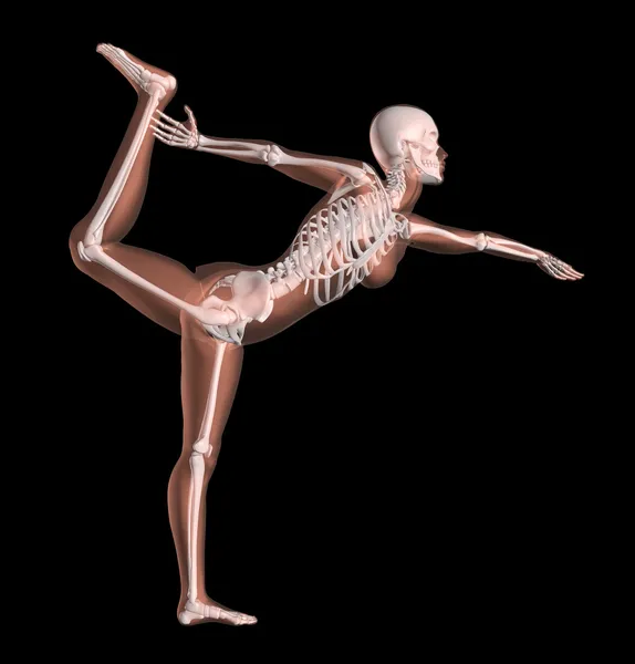 Esqueleto femenino en posición de yoga — Foto de Stock