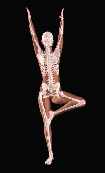 Esqueleto médico femenino en posición de yoga — Foto de Stock
