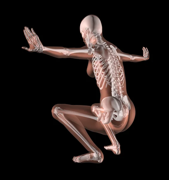 Esqueleto femenino en posición de yoga —  Fotos de Stock