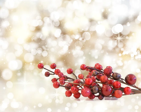 Boże Narodzenie jagody — Zdjęcie stockowe