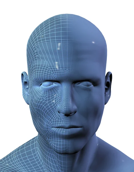 3D render van mannetjes hoofd met draadframe op half — Stockfoto