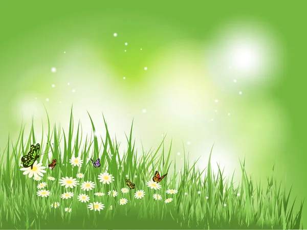 Butterflies in grass with daisies — Stock Photo, Image