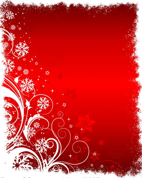 Floral winter background — Stock Photo, Image