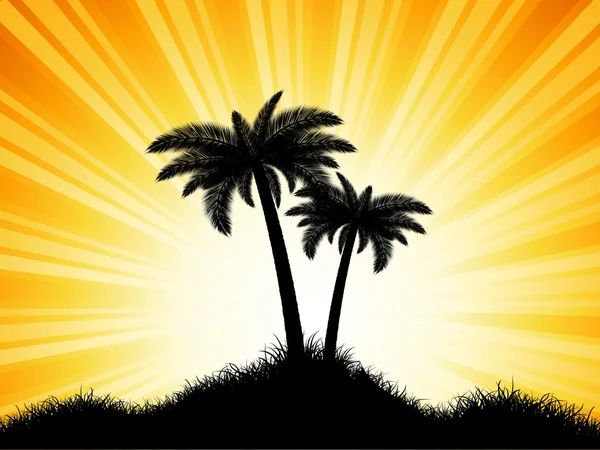 在阳光明媚的背景上的棕榈树剪影 — 图库照片