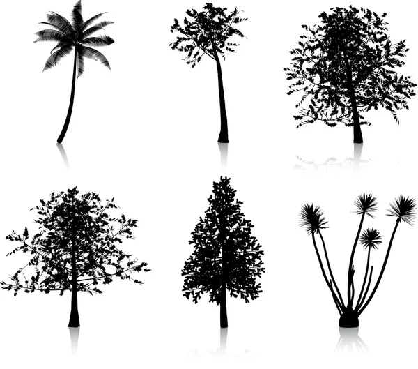 Silhouette degli alberi — Foto Stock