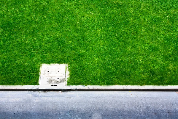 Зеленая трава возле городской улицы — стоковое фото