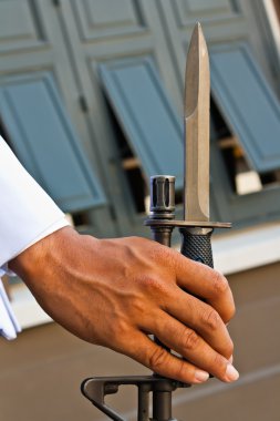 Palace guard at grand palace and his rifle clipart