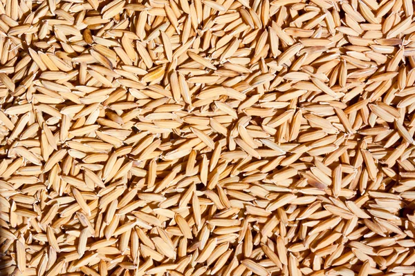 Jasmijn rijst zaad textuur — Stockfoto
