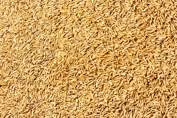 Jasmínová rýže osiva textura — Stock fotografie