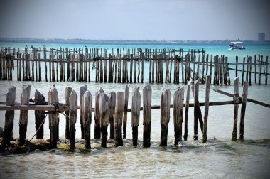 Cancun ahşap iskele