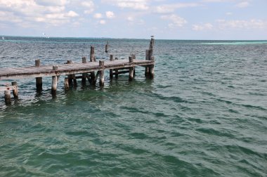 Wooden pier in cancun clipart