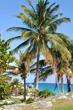 tulum Harabeleri