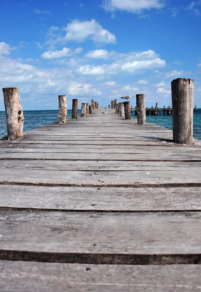 stock image Wooden pier in cancun