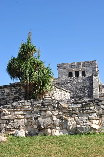 Τα ερείπια του Tulum — Φωτογραφία Αρχείου