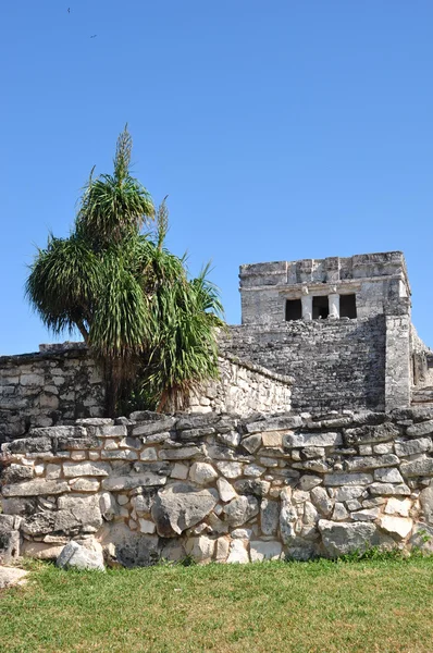 Ruinen von Tulum — Stockfoto